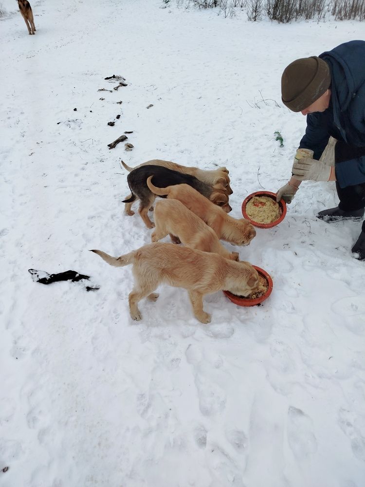 Photograph by Елизавета Слесарева