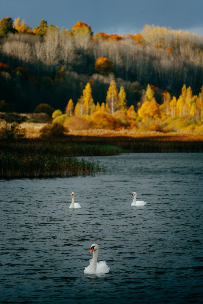 Photograph by Иван Клейн