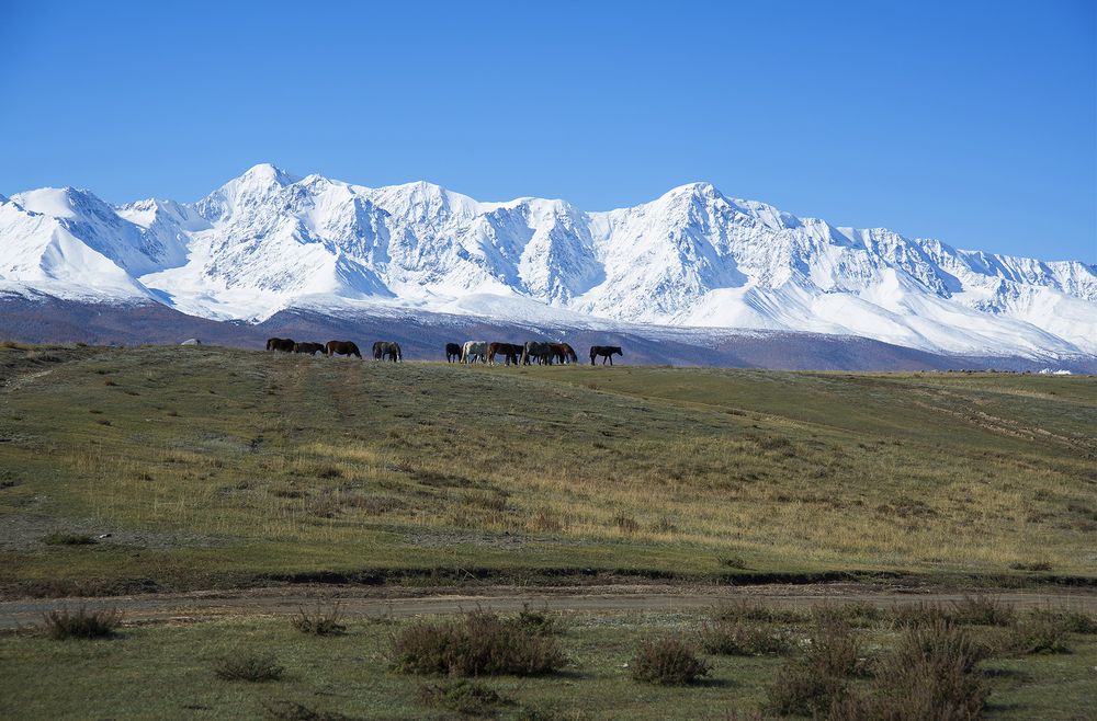 Фотография автора Наталья Дроздова