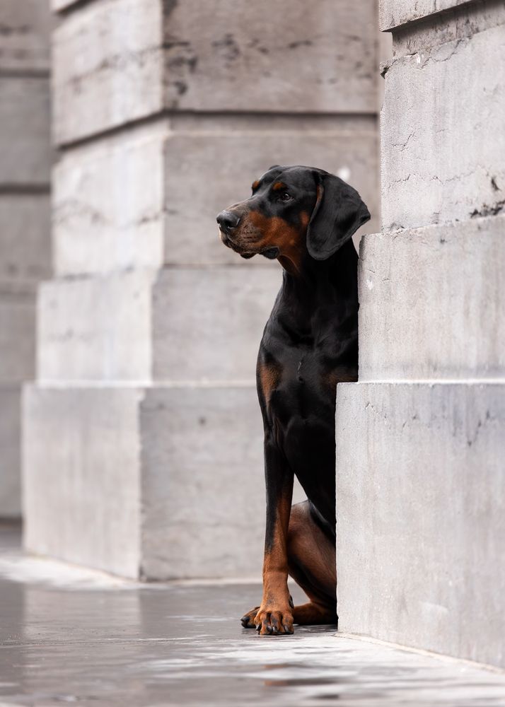 Photograph by Jettie Roest
