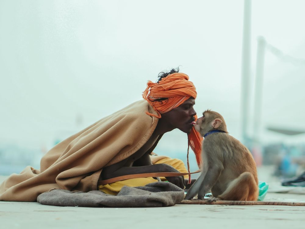 mothering a monkey with food .