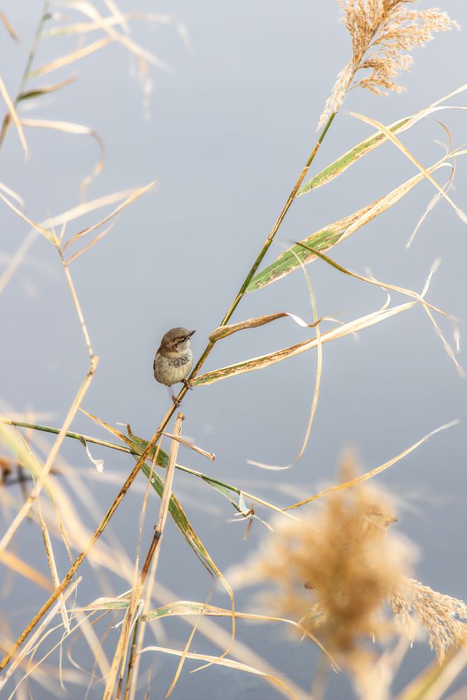 Photograph by Юлия Сысоева