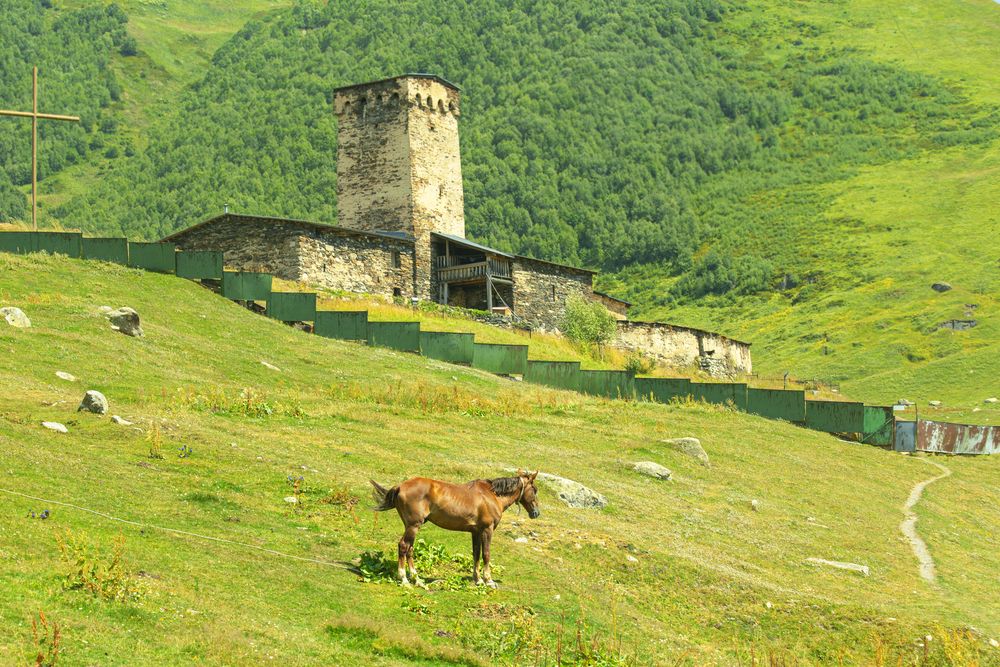 Photograph by Christina Oleshkevich