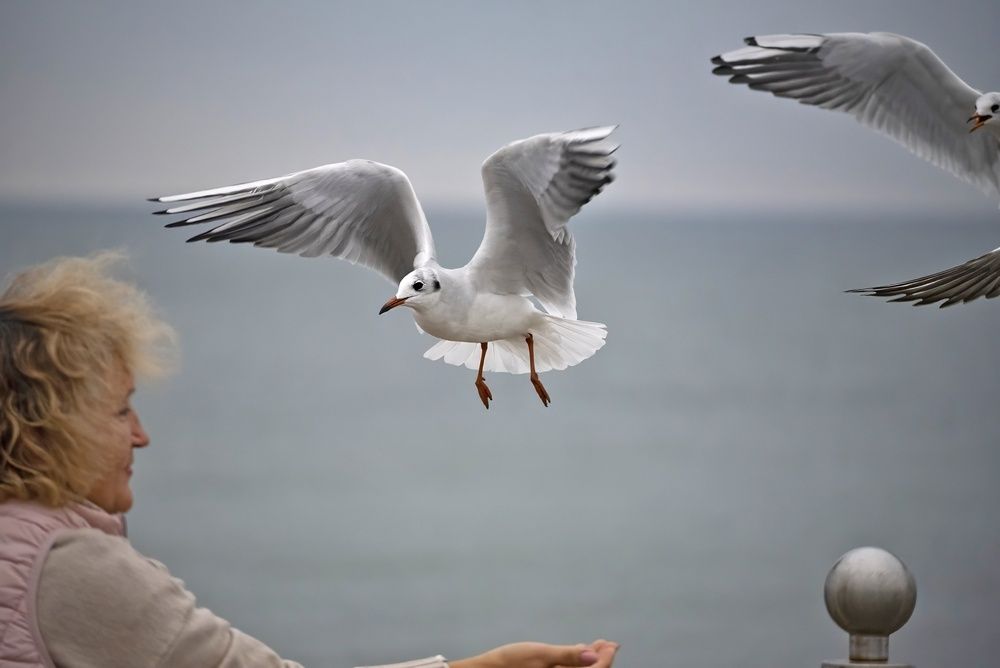 Photograph by Gurdina Lena