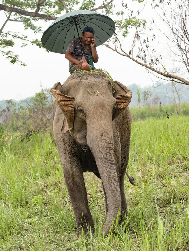 Photograph by Gurdina Lena