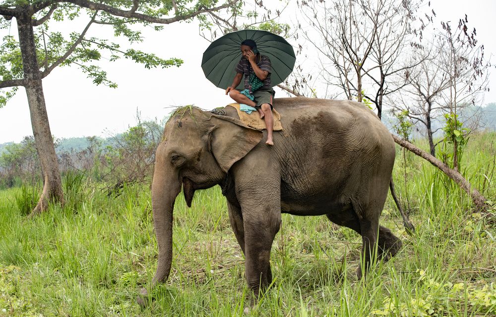 Photograph by Gurdina Lena