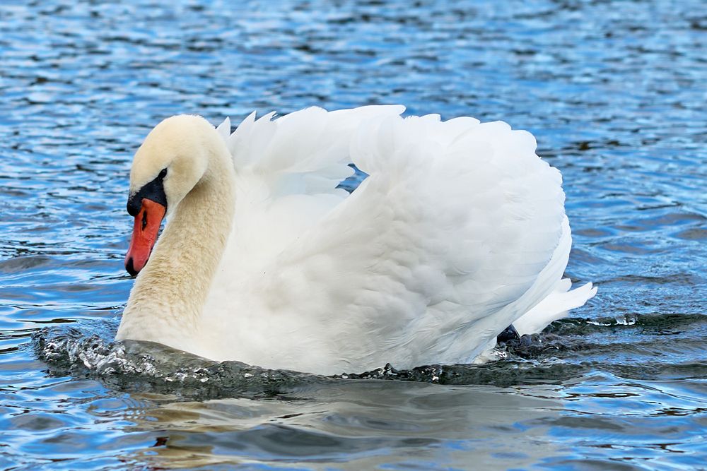 Photograph by Воробьева Людмила