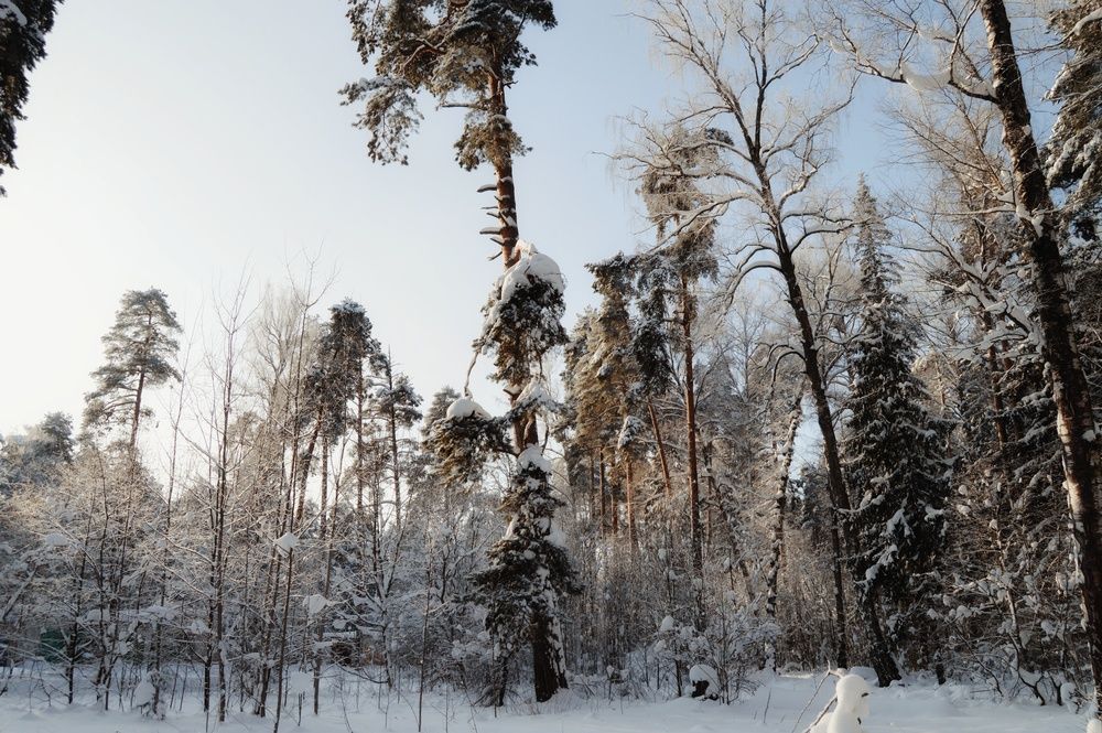 Photograph by Kryakushka