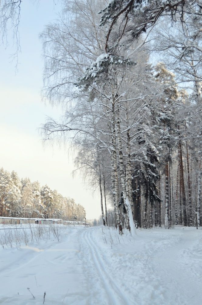 Photograph by Kryakushka