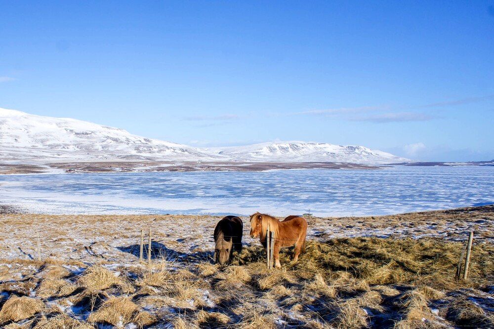 Photograph by Christina Oleshkevich