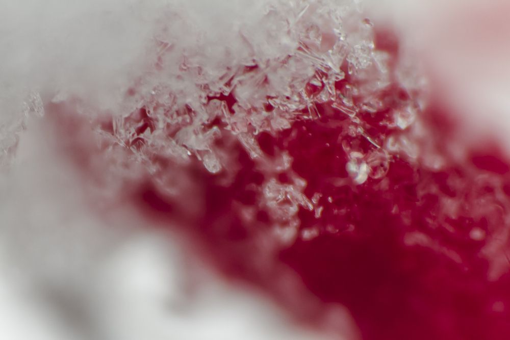 Фотография автора Анастасия Додрова