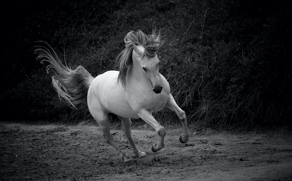 Photograph by Rania Elsayed