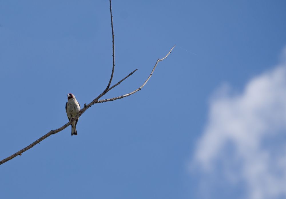 Photograph by Елена