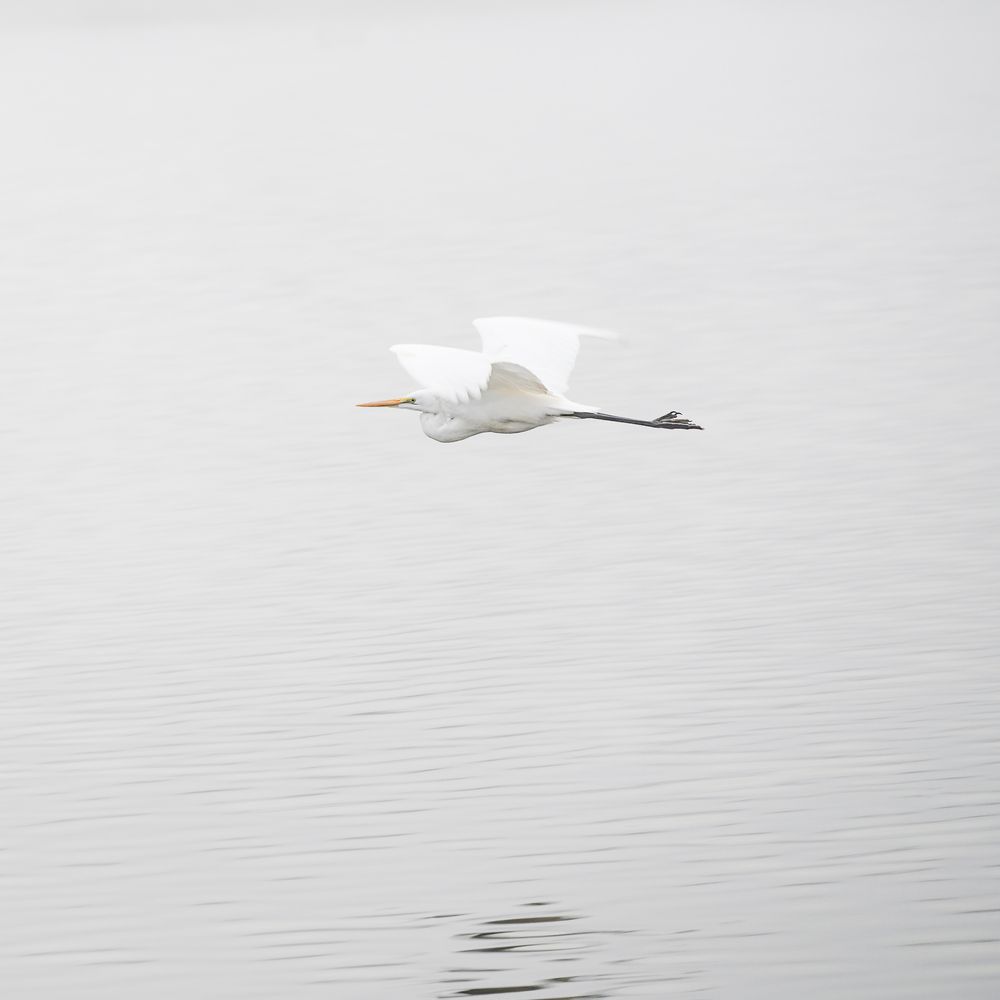 Photograph by Dmitry Ishniyazov