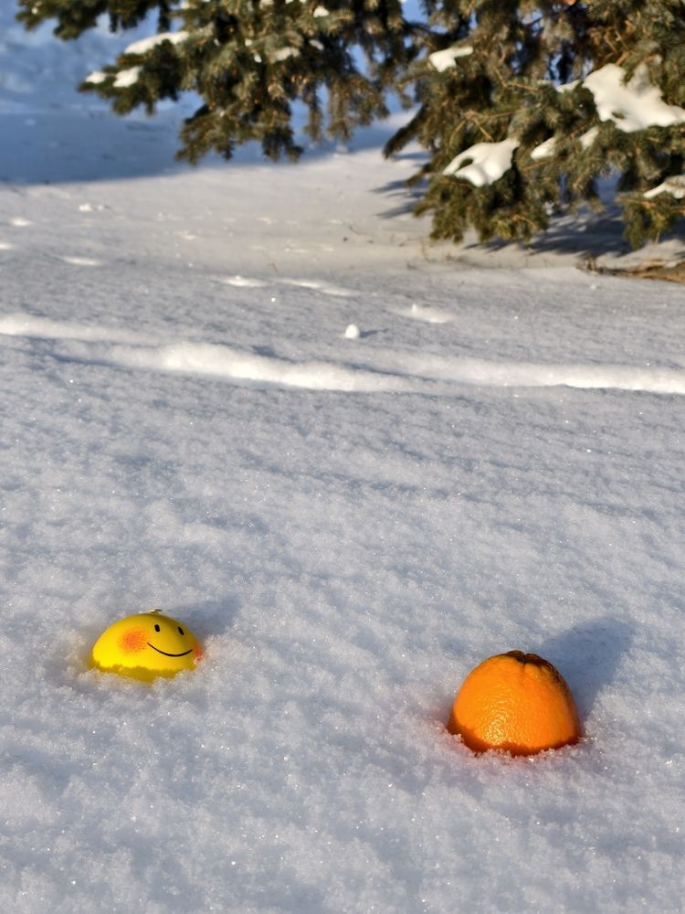 Photograph by Галина Бессуднова