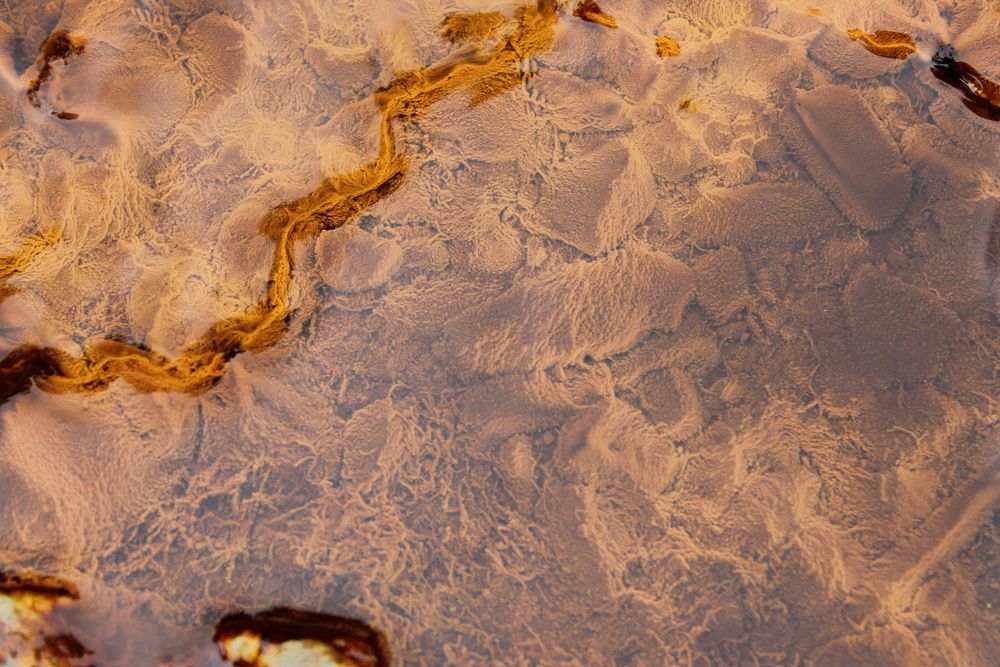 Photograph by Денис Птюшкин