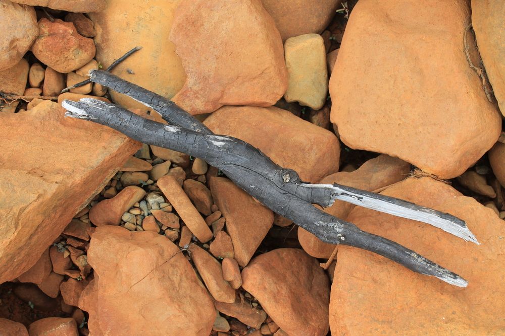 Photograph by Денис Птюшкин