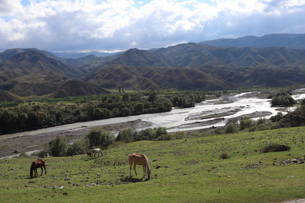 Фотография автора Веста Ягужинская
