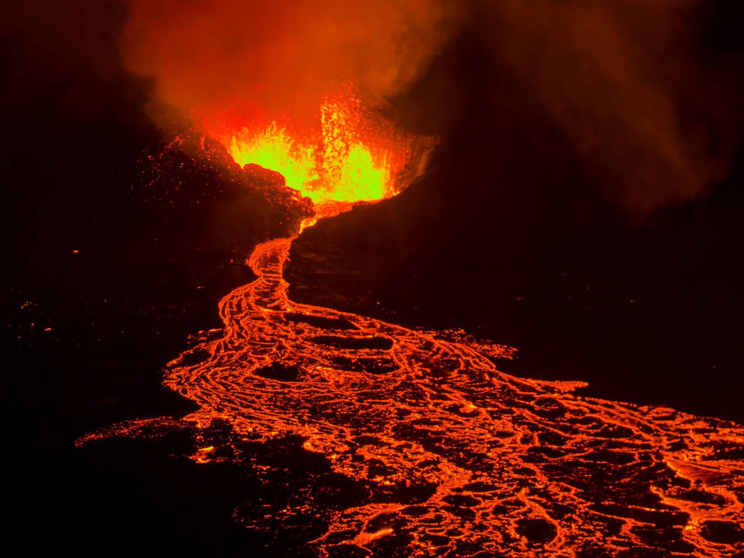 Фотография #13126949