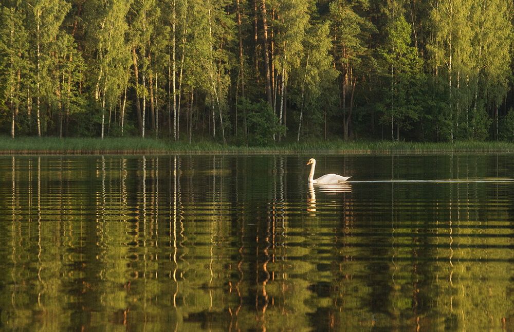 Photograph by Борис Журавлёв