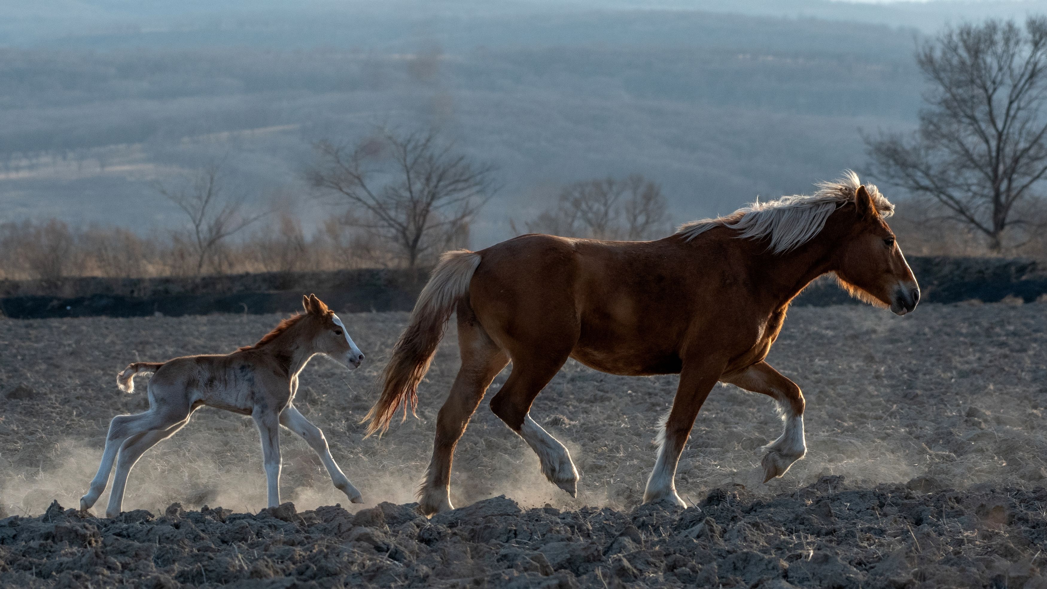 Photograph by Константин Тучин