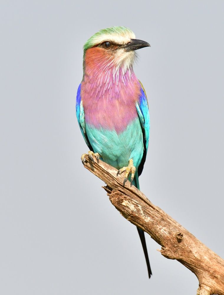 Photograph by Michelle Storm