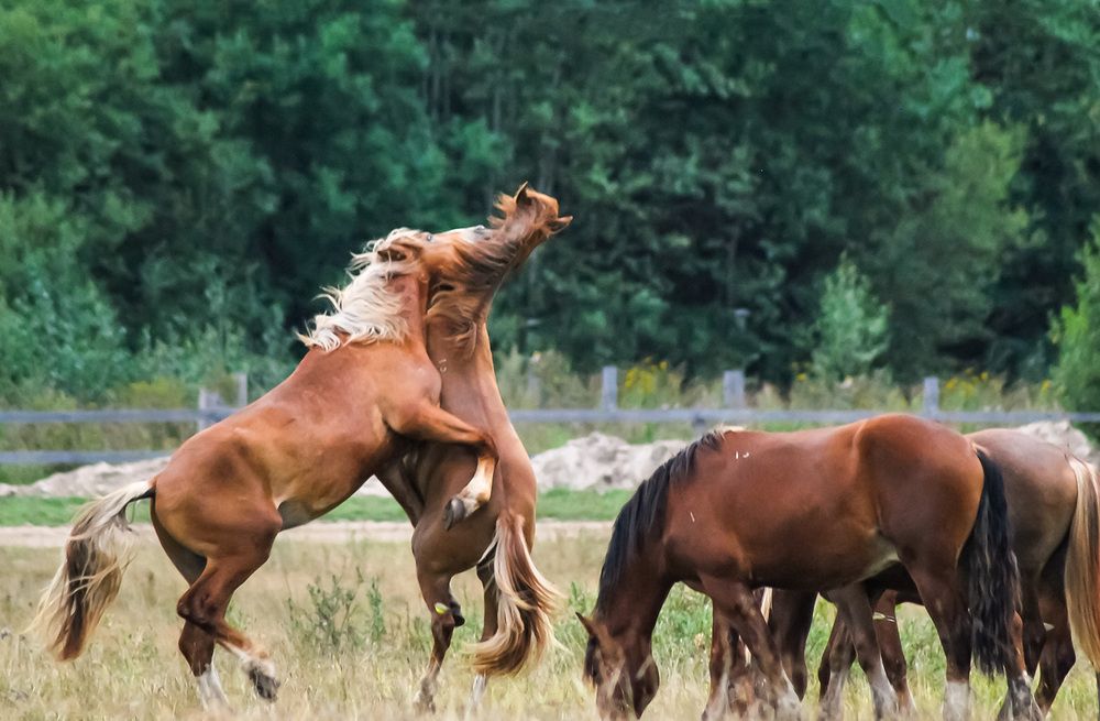 Фотография автора Наталья Липовская