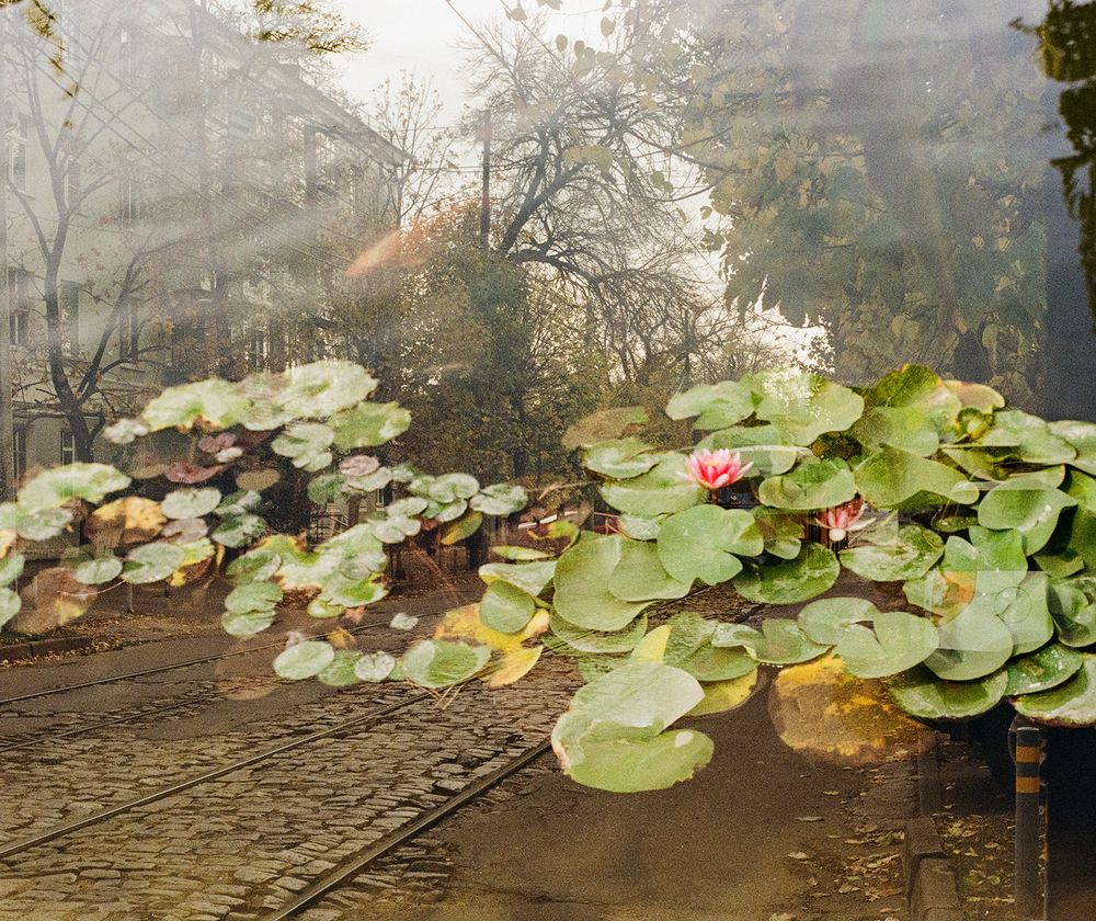 Город, которого нет