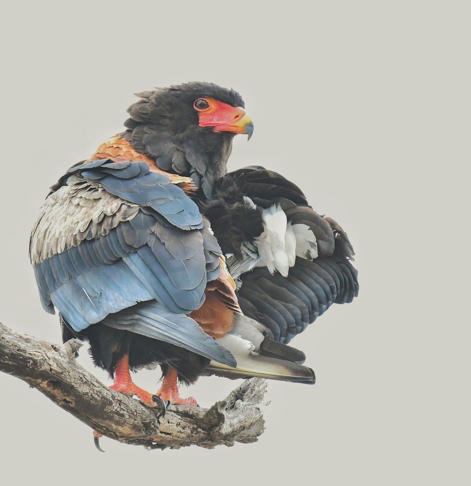 Photograph by Michelle Storm