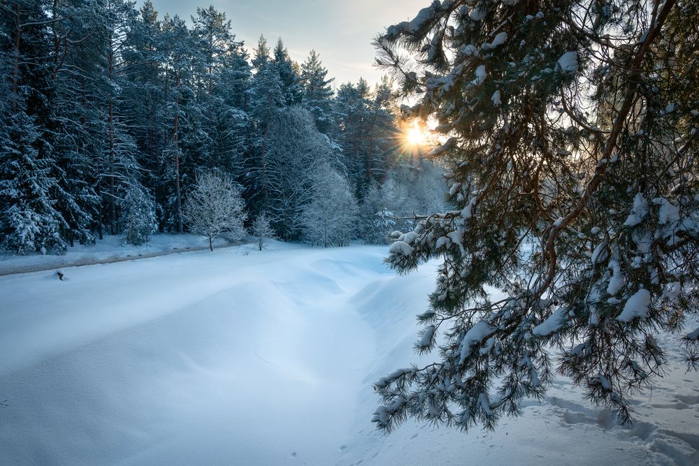 Photograph by Кончакова Дарья