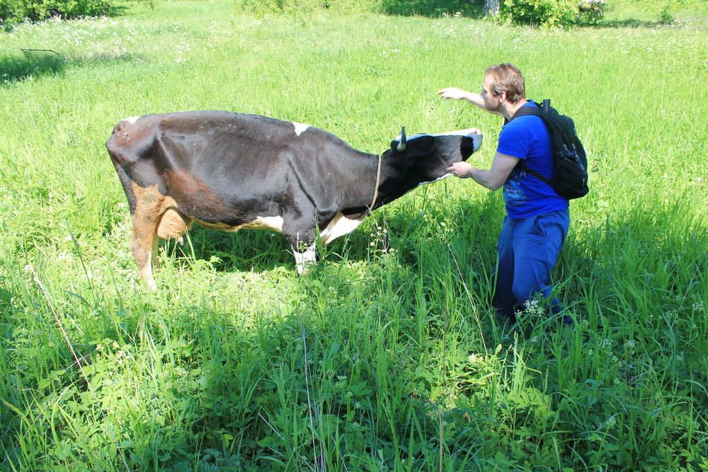 Photograph by Денис Птюшкин