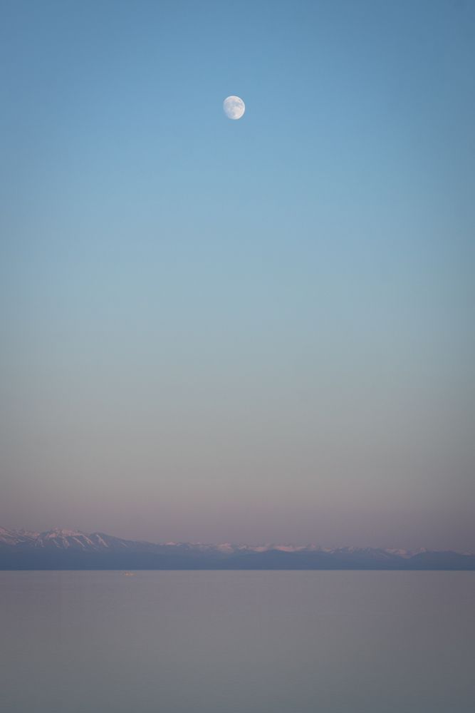 Photograph by Света Трифоненкова