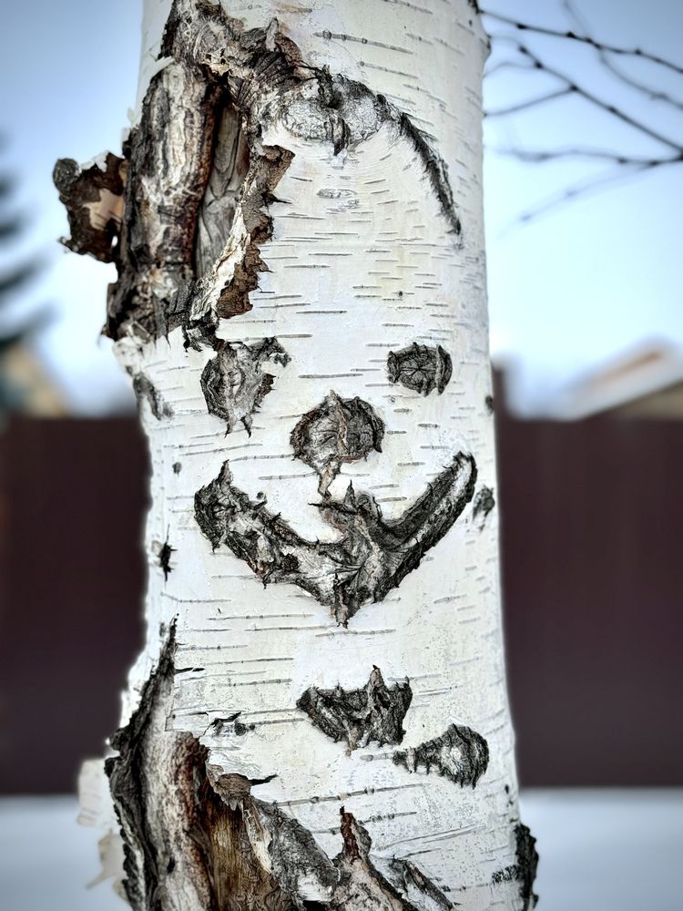 Photograph by Olga Bokareva