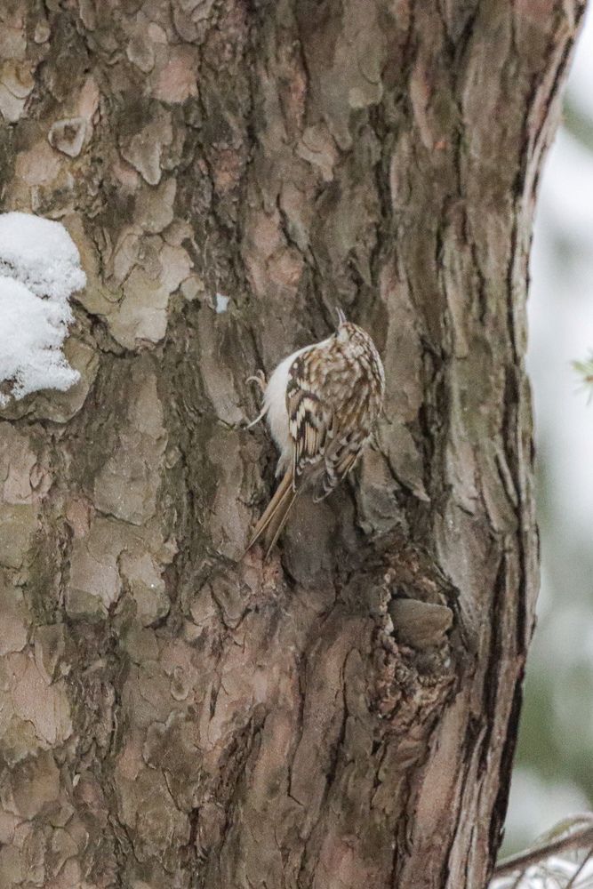 Photograph by Аня Проскурякова