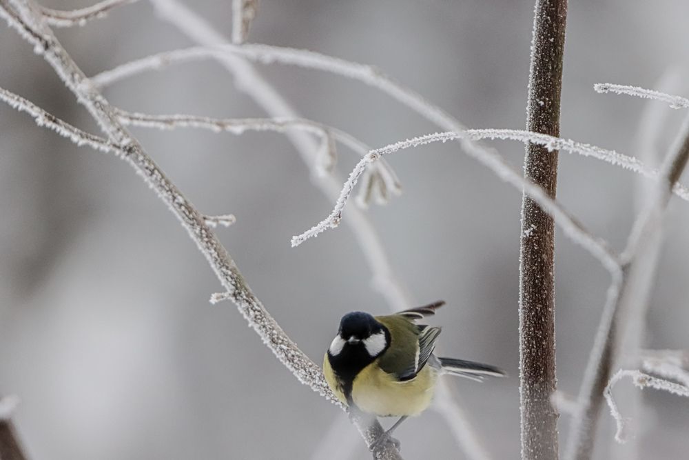 Photograph by Аня Проскурякова