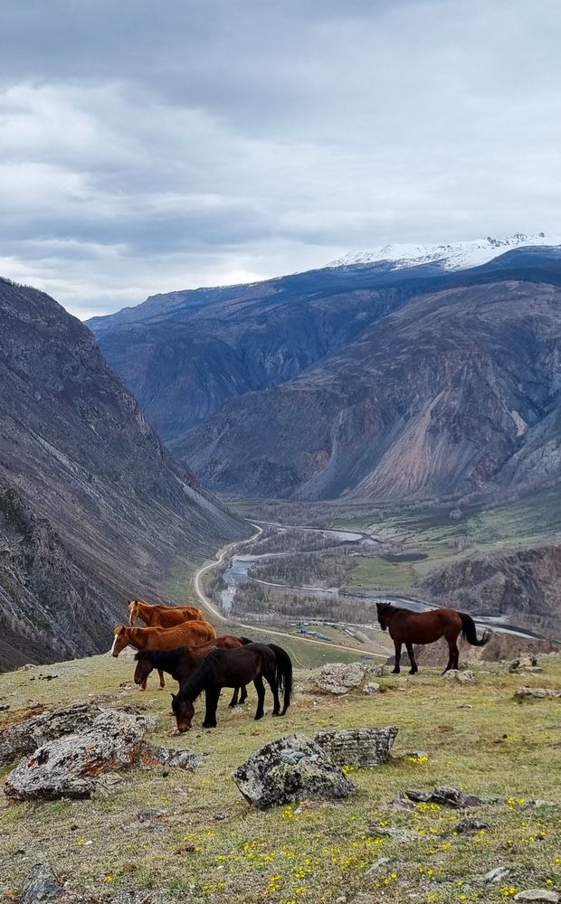 Photograph by Елена Онофрийчук