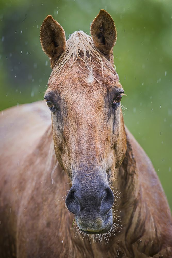 Photograph by Angie Birmingham