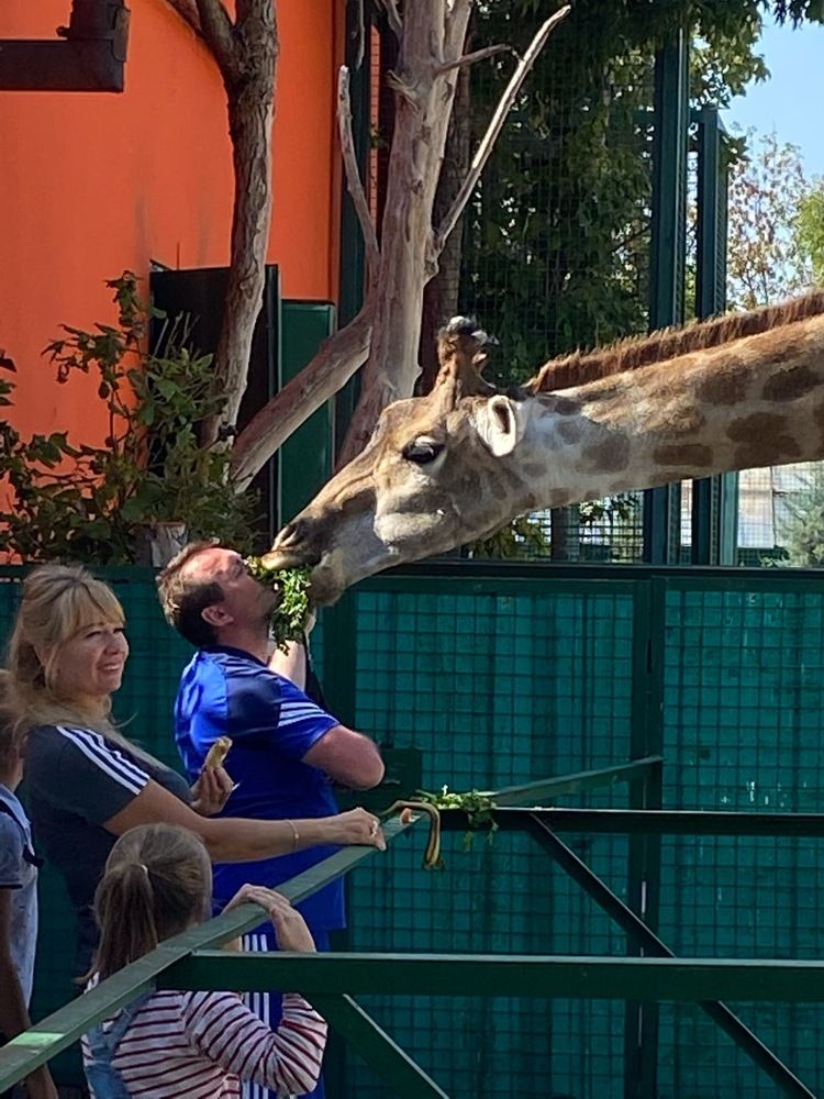 Photograph by Денис Птюшкин