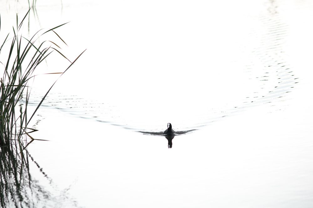 Photograph by Ирина