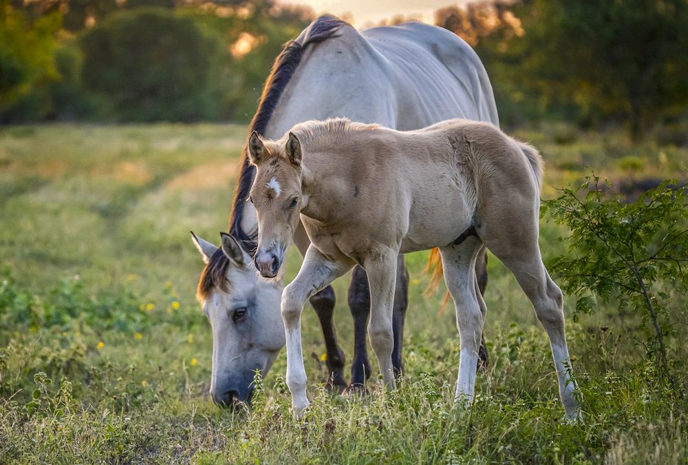 Photograph by Angie Birmingham
