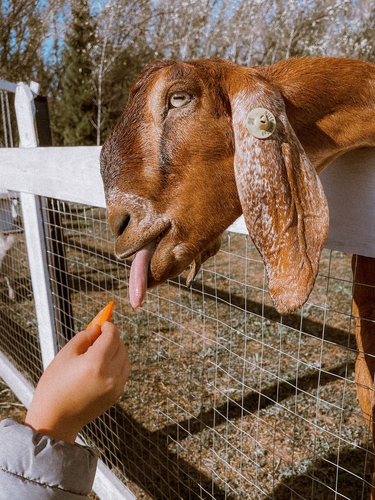 Photograph by Светлана Смук