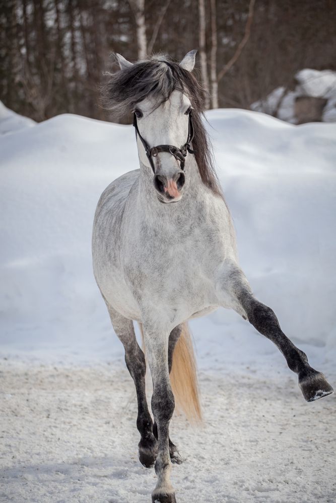 Фотография автора Мария Анатольевна Кузовлева
