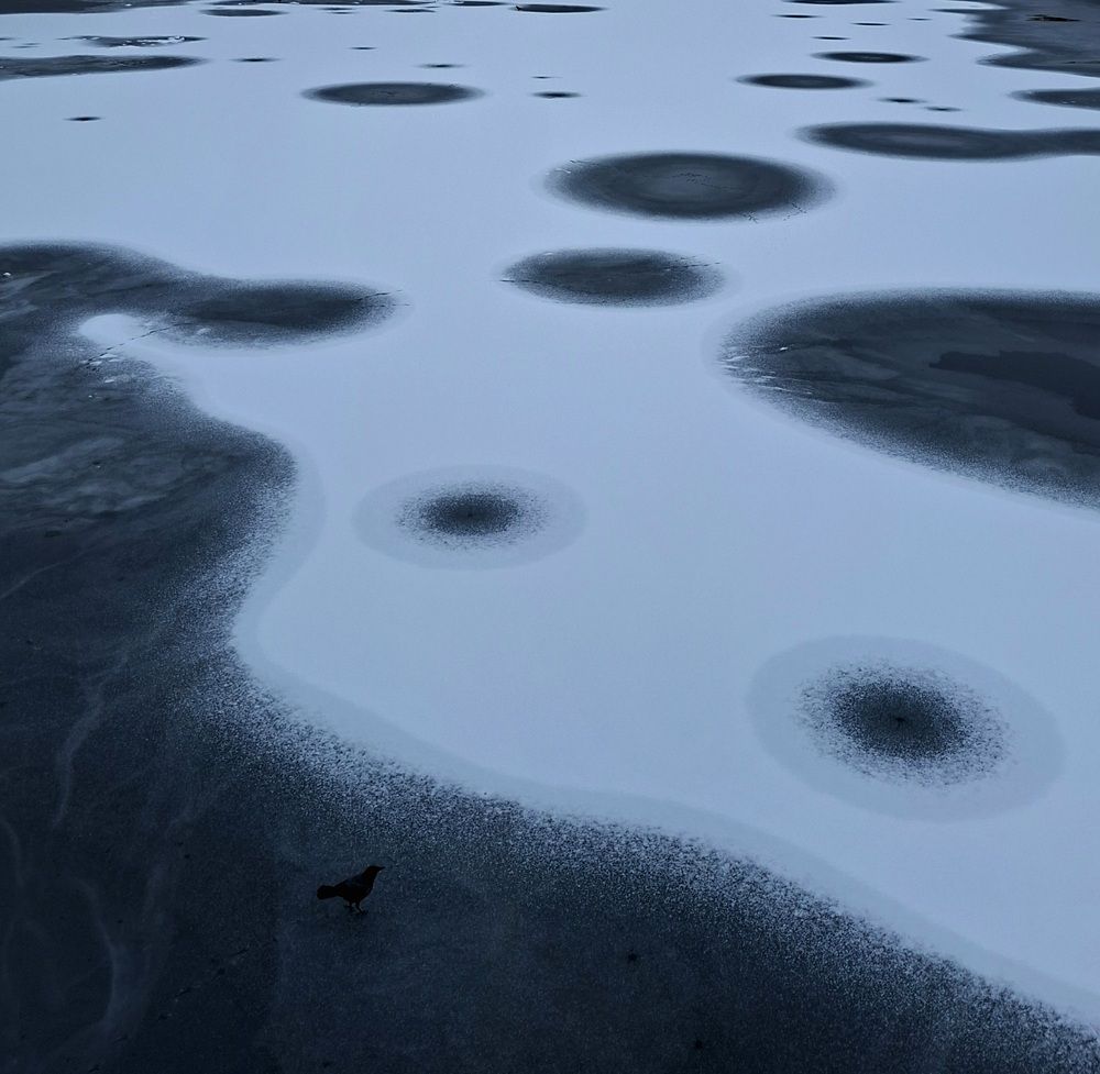 Photograph by Anastasia Kodatenko