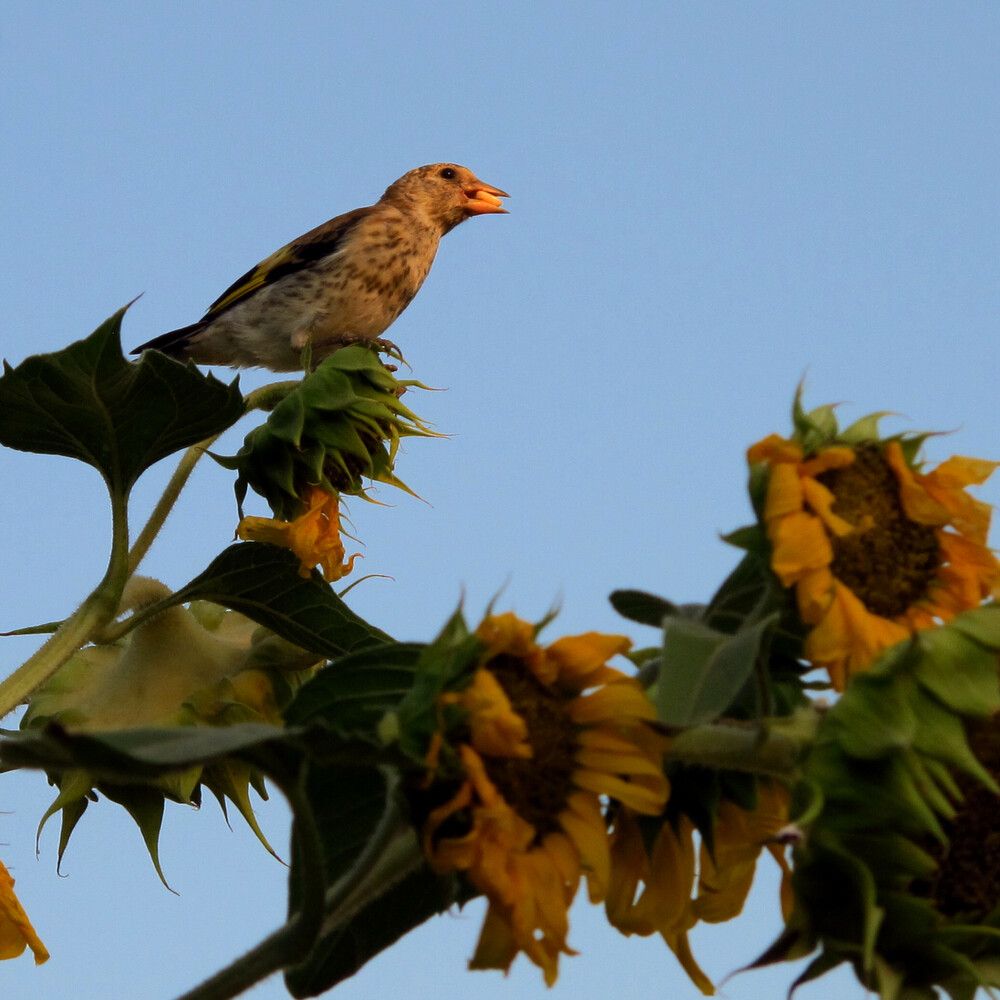 Photograph by Ульяна Кузьмина