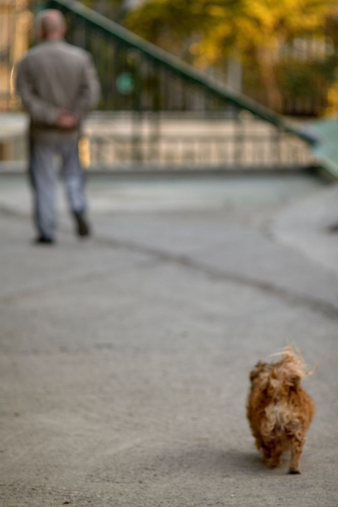 Photograph by Александр Игнатущенко