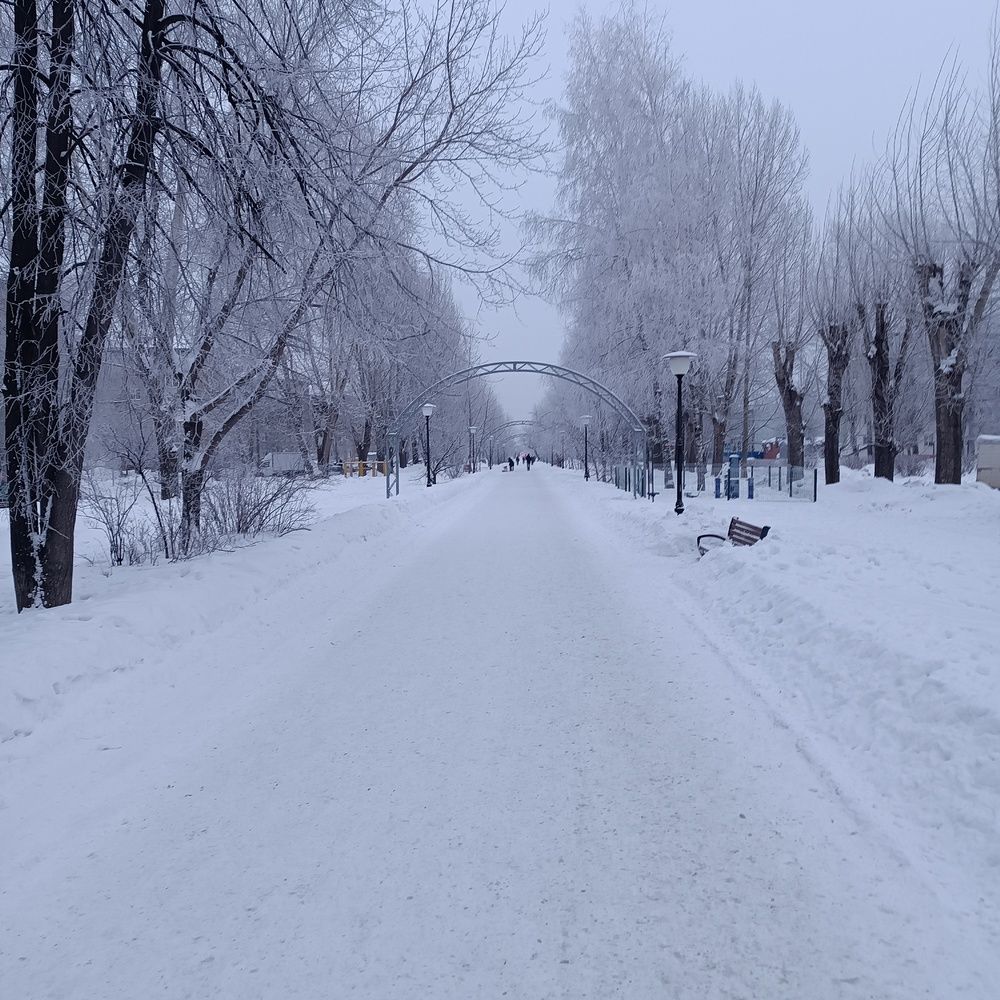 Фотография автора Елена Колышева