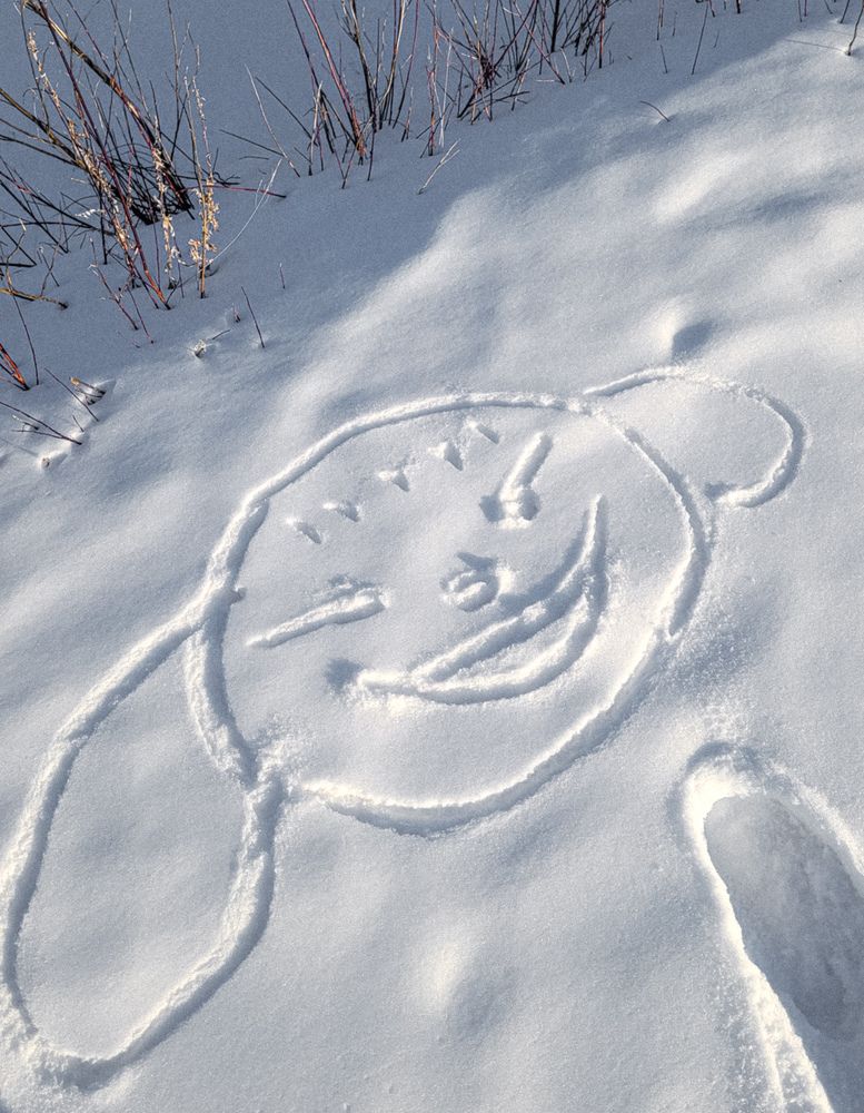 Фотография автора Людмила Казакова