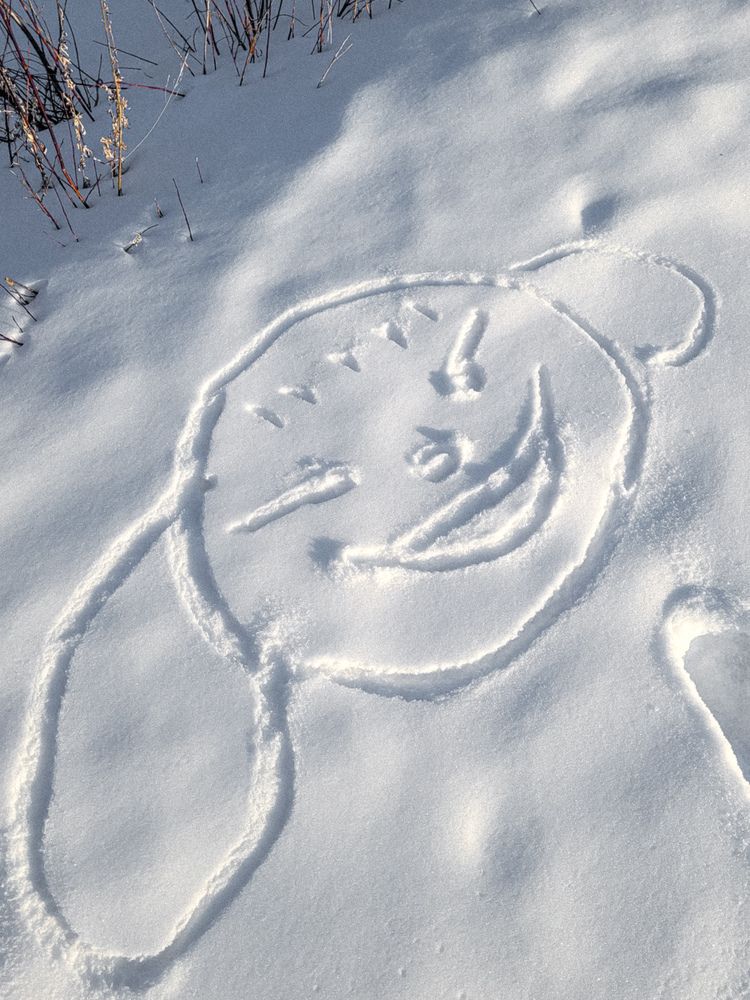 Фотография автора Людмила Казакова