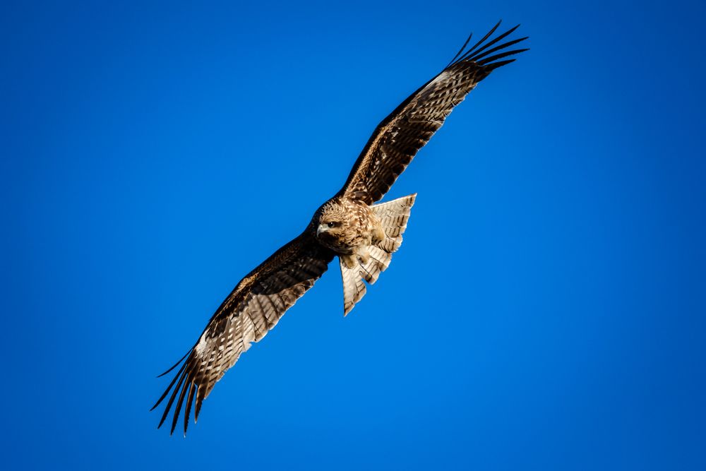 Photograph by mak takano