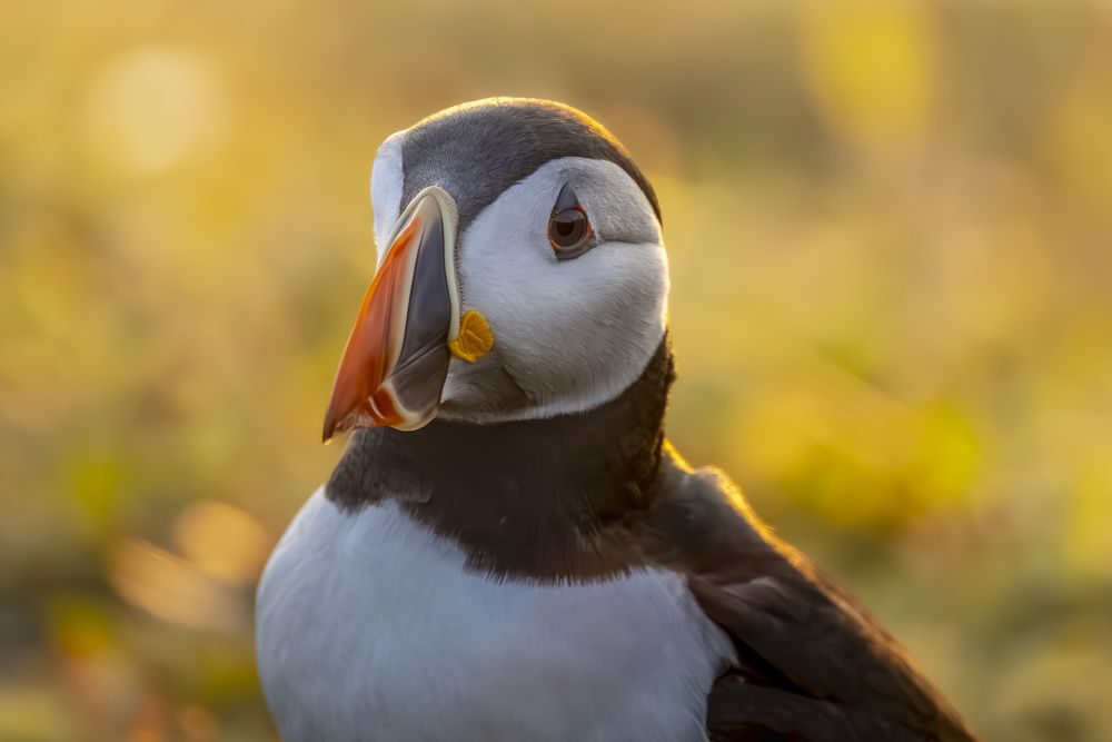 Photograph by Ellen Lichtenheldt